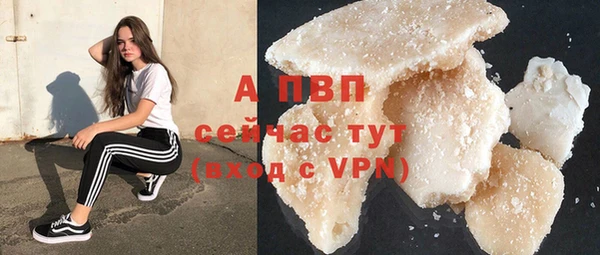 крисы Белокуриха